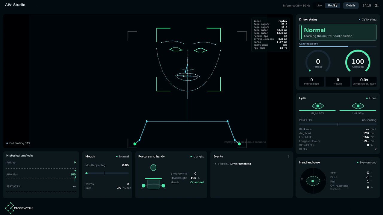 Driver monitoring replay mode during calibration
